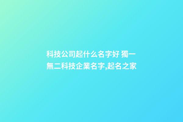 科技公司起什么名字好 獨一無二科技企業名字,起名之家